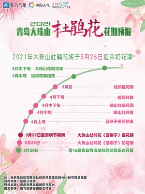 5月中旬青岛天气