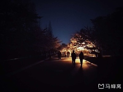 5月中旬青岛天气
