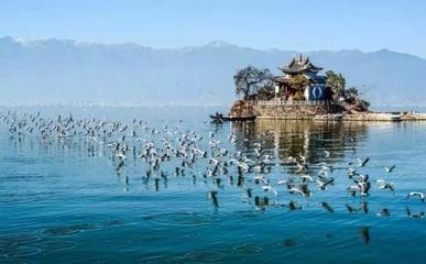 过年云南旅游