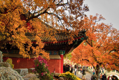 香山公园有什么好玩的