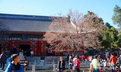 香山公园有什么好玩的