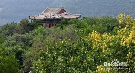 香山公园有什么好玩的