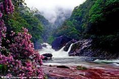 武夷山到长沙
