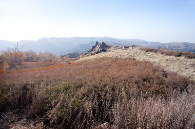 阴山是哪里