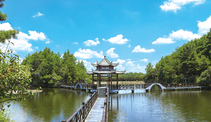 沙市景点