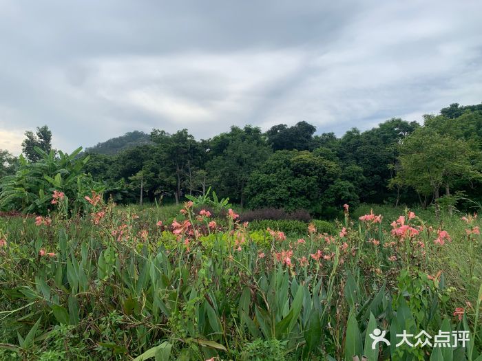 广州新塘附近景点