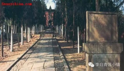 竹楼在哪里