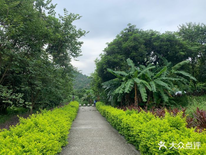 广州新塘附近景点