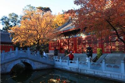 十一月中旬北京旅游