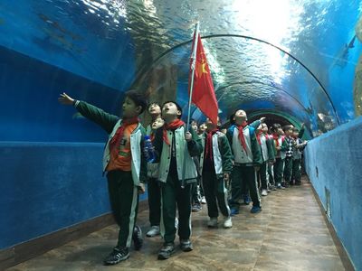 合肥市海洋馆在哪里