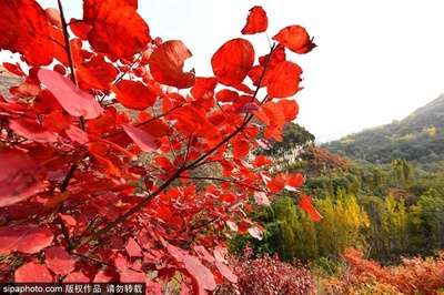 十一月中旬北京旅游