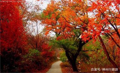 十一月中旬北京旅游