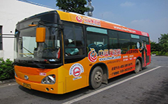 597公交车路线查询