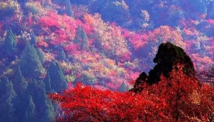 十一月中旬北京旅游