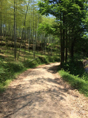 湖州妙西旅游景点介绍