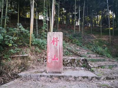 湖州妙西旅游景点介绍
