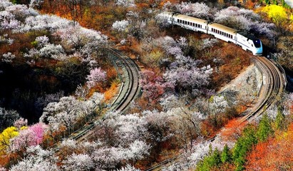 十一月中旬北京旅游
