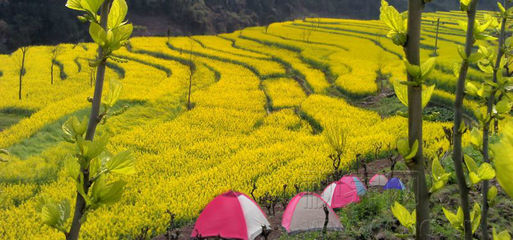 重庆仙女山景点介绍