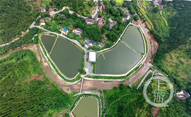 綦江高庙坝旅游度假区