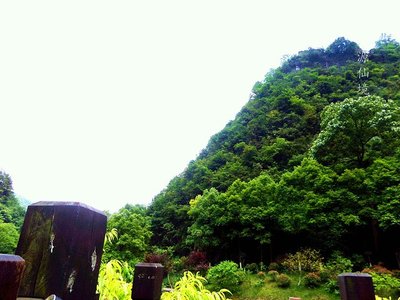 重庆旅游广告词