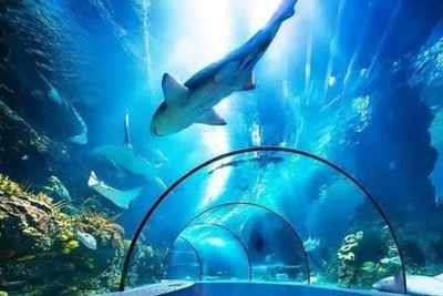 上海长风海洋