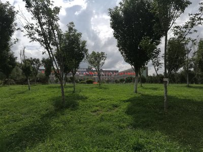 昆明嵩明天气
