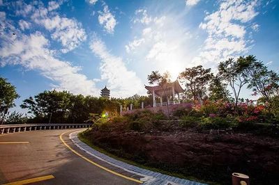 大岗是哪里