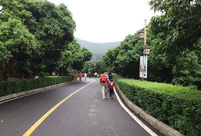 东莞塘厦旅游景点大全
