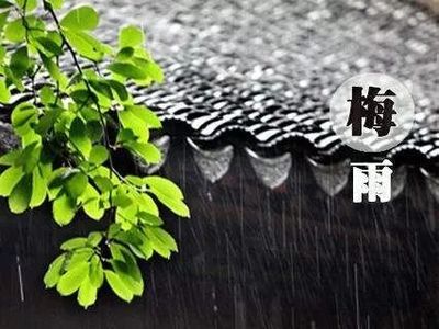 广州梅雨季节是几月份