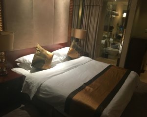 成都新格林普兰特酒店