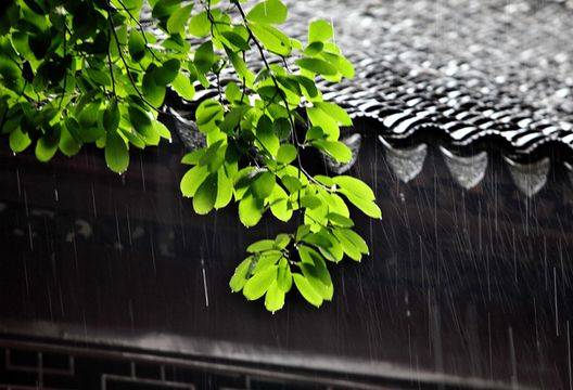 广州梅雨季节是几月份