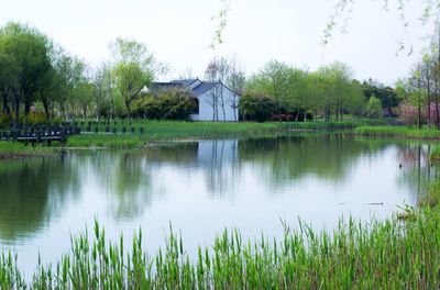 苏州沙家浜风景区