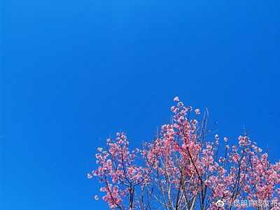 昆明嵩明天气