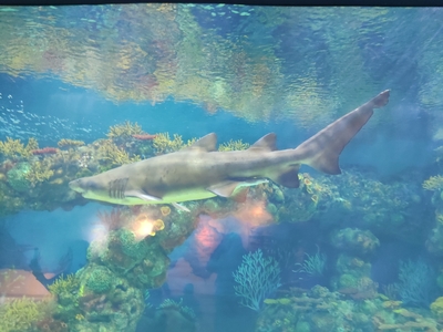 上海长风海洋