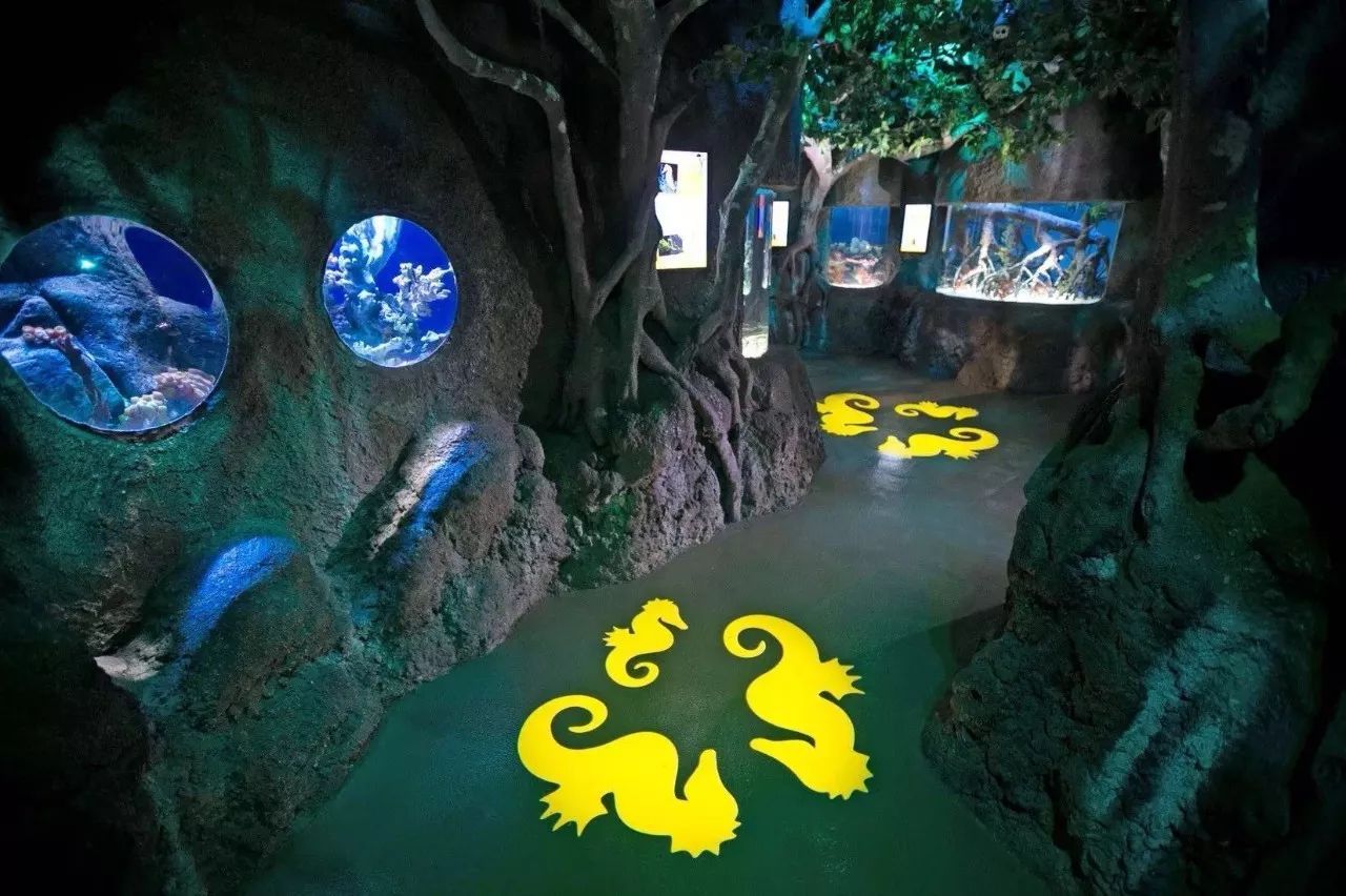上海长风海洋