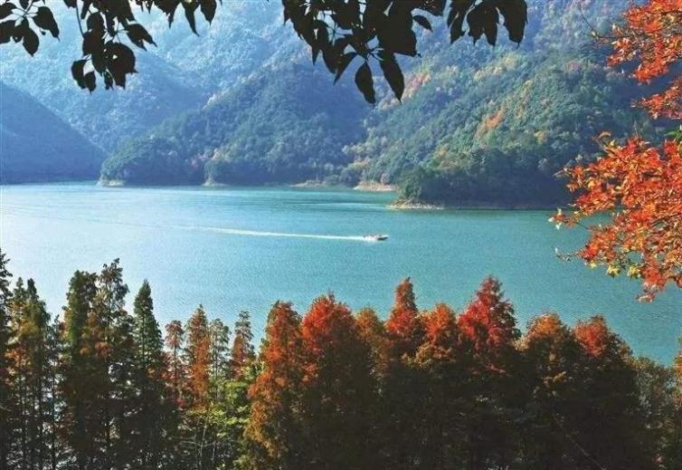 浙江及周边旅游自驾