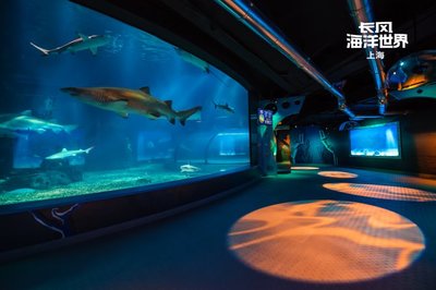 上海长风海洋