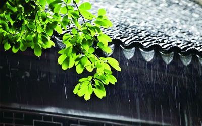 广州梅雨季节是几月份
