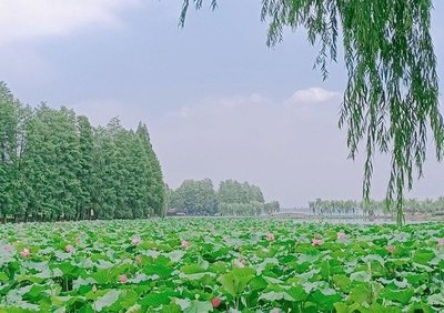 附近旅游的地方
