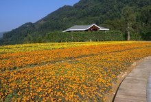 十里蓝山在哪里