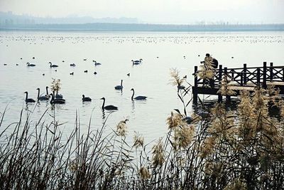 平陆景点