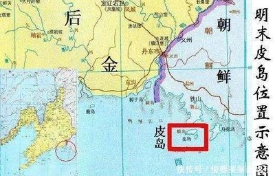 金州是哪里
