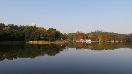 广州麓湖公园