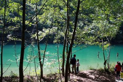 湖北五龙河旅游攻略