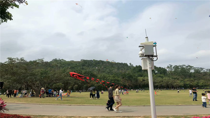深圳哪里适合放风筝