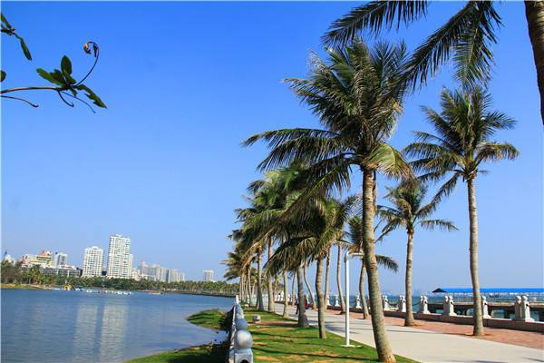 湛江有什么景点