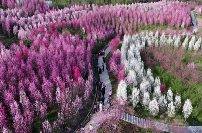 桃花源景点