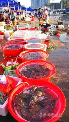 青岛积米崖海鲜市场