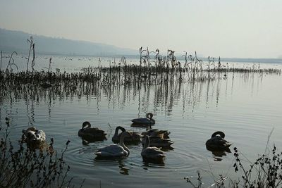 平陆景点