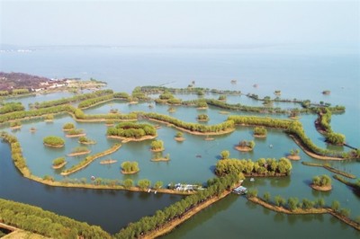 生物岛有什么景点
